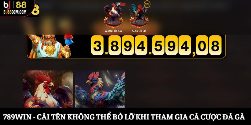 Top 5 Nhà Cái Đá Gà Uy Tín Mà Bạn Không Nên Bỏ Lỡ
