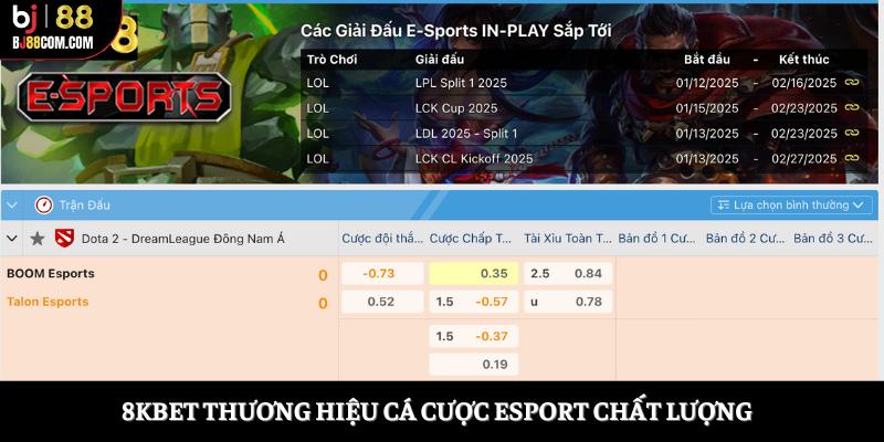 5+ Nhà Cái Esport Uy Tín Nhất Định Game Thủ Nên Biết