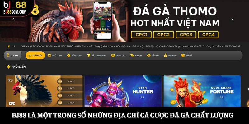 Top 5 Nhà Cái Đá Gà Uy Tín Mà Bạn Không Nên Bỏ Lỡ