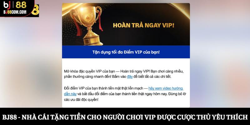 Top 5 Nhà Cái Tặng Tiền Cho Người Chơi VIP Uy Tín 