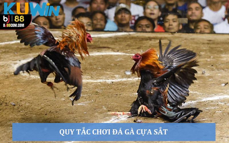 Đá gà bj88 - BJ88