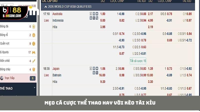 Mẹo Cá Cược Thể Thao Hay Để Người Chơi Thắng Giải Lớn
